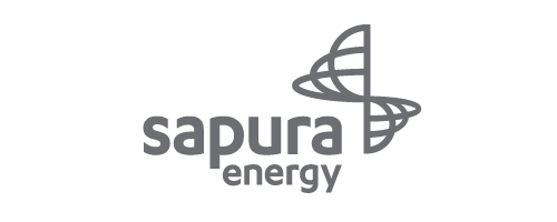 sapura-gry